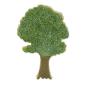 Preview: Ficus Baum 7,5 cm