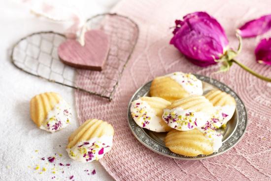 Madeleines 12 Formen Bärentatzen Städter we love baking