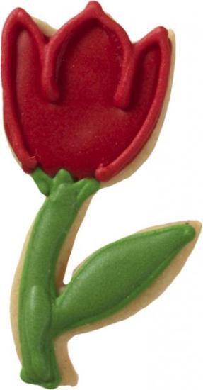 Tulpe 6 cm