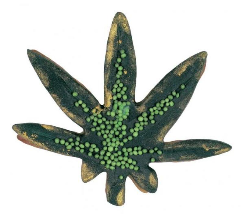 Wasserlilie 7,5 cm